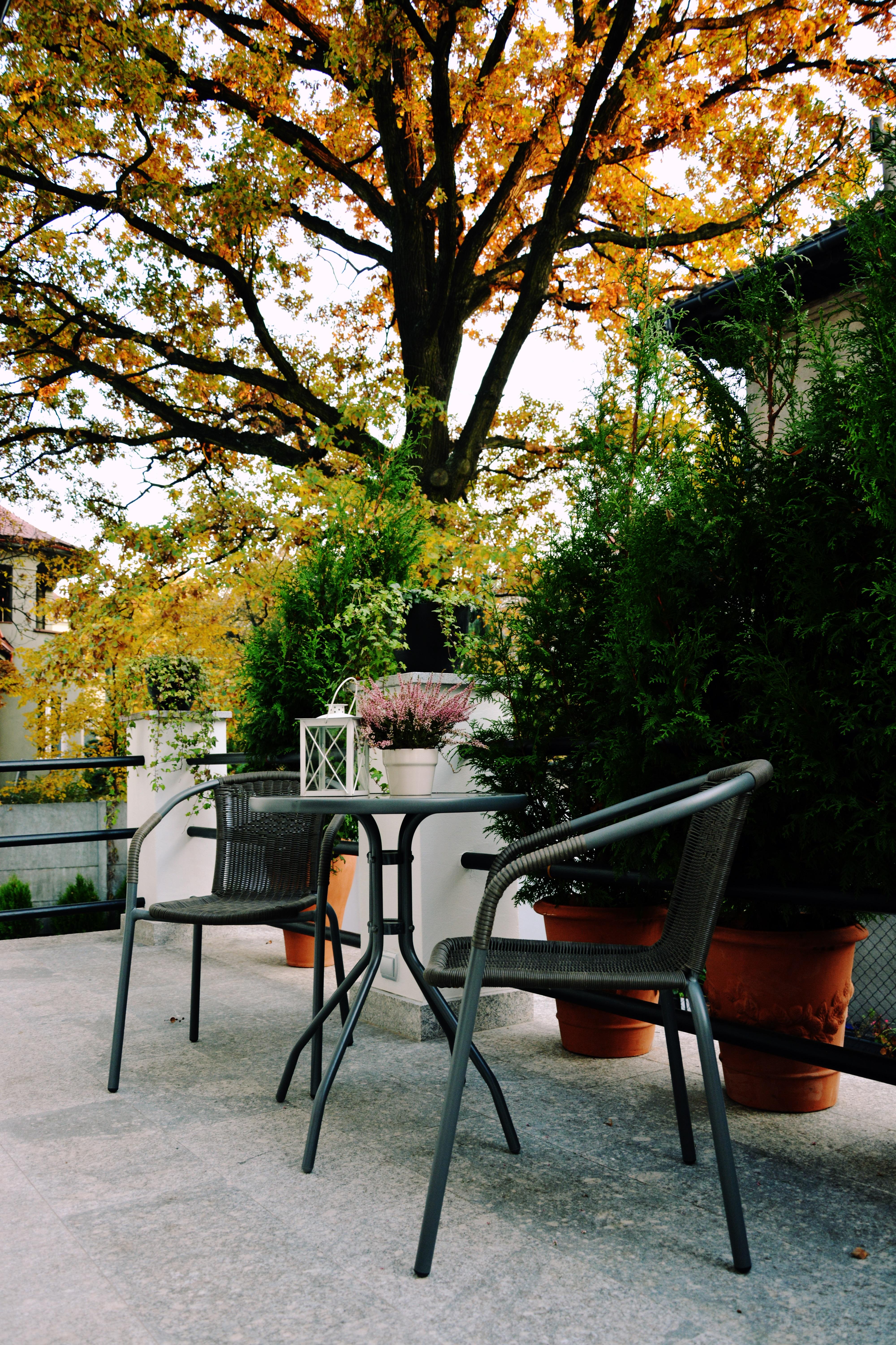 Grottger Luxury Boutique Hotel City Krakow Ngoại thất bức ảnh